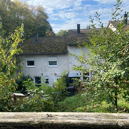 In Saarbruecken Stadtnahe Gemuetliche Wohnung Am Deutsch-Franzoesischen Garten מראה חיצוני תמונה