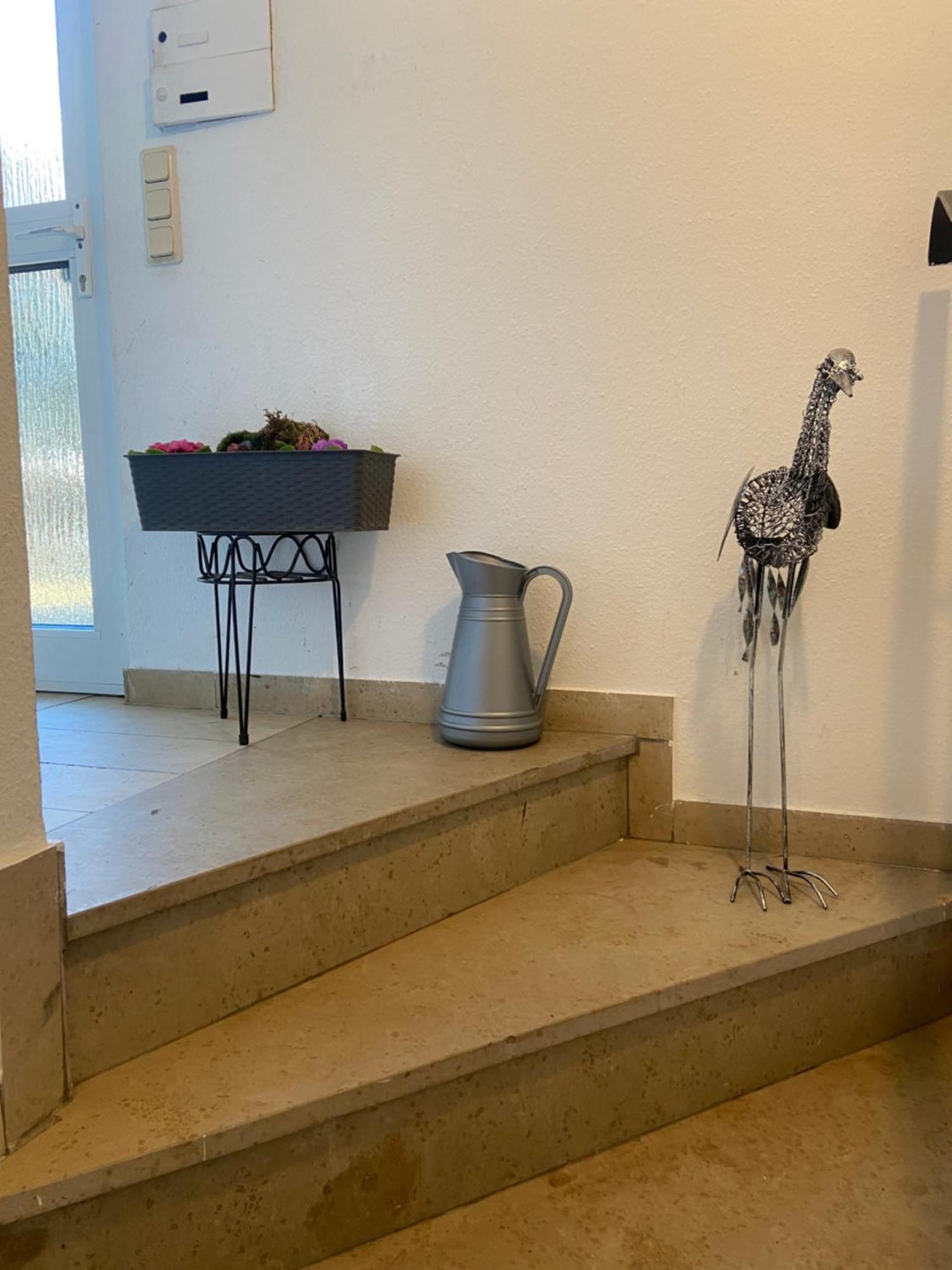 In Saarbruecken Stadtnahe Gemuetliche Wohnung Am Deutsch-Franzoesischen Garten מראה חיצוני תמונה