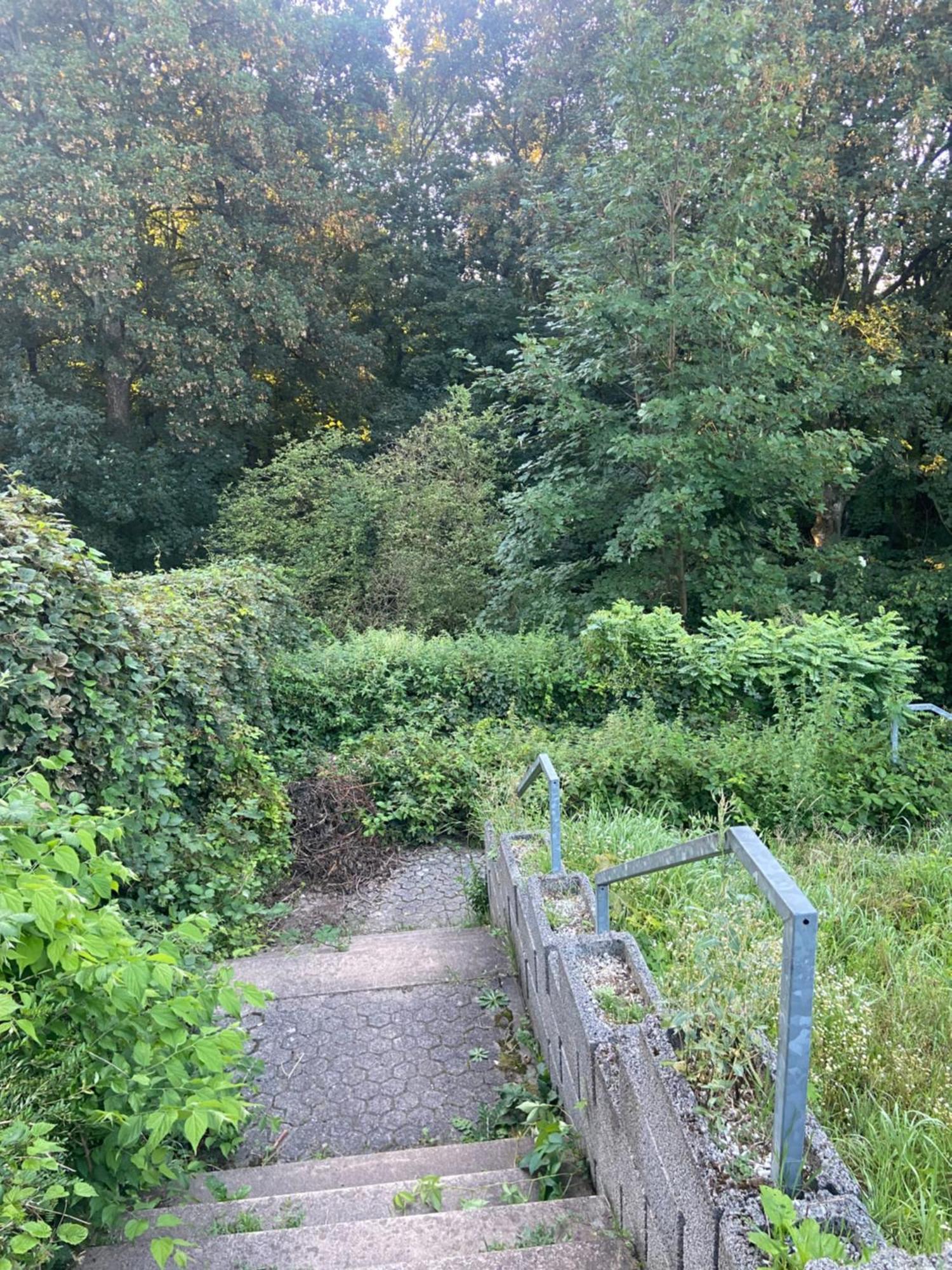 In Saarbruecken Stadtnahe Gemuetliche Wohnung Am Deutsch-Franzoesischen Garten מראה חיצוני תמונה