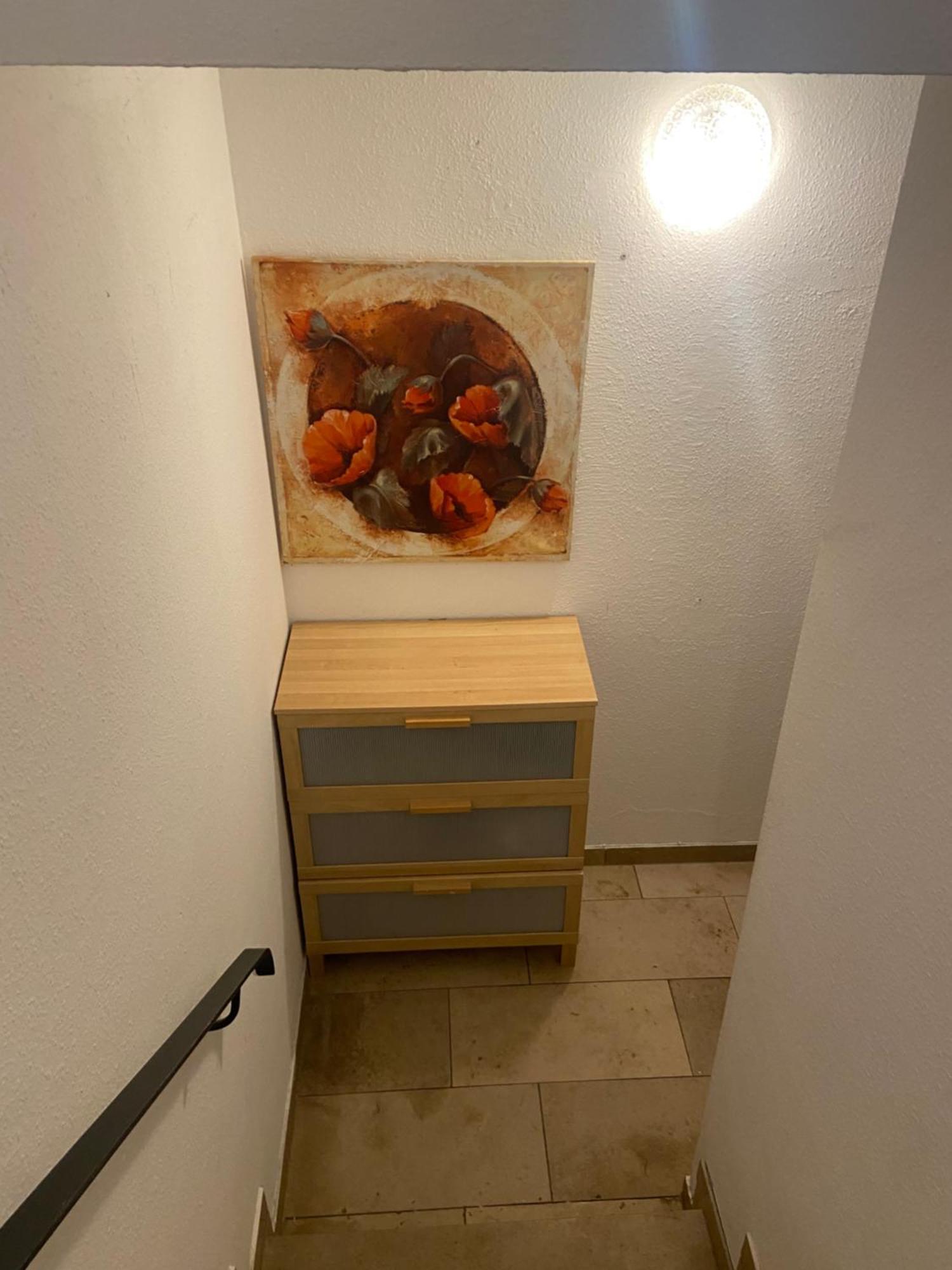 In Saarbruecken Stadtnahe Gemuetliche Wohnung Am Deutsch-Franzoesischen Garten מראה חיצוני תמונה